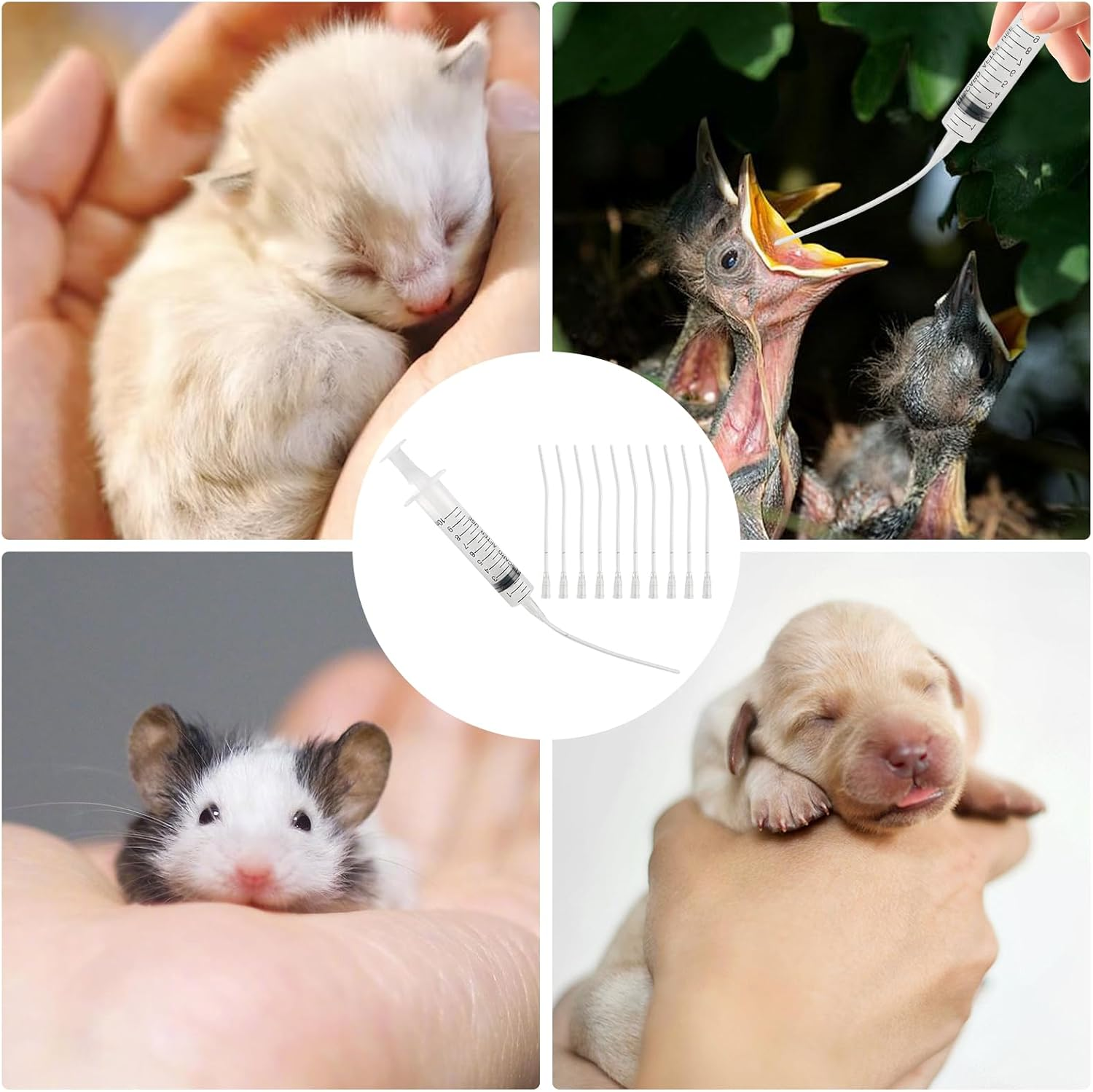 Pack of 10 Young Birds Feeding Tube