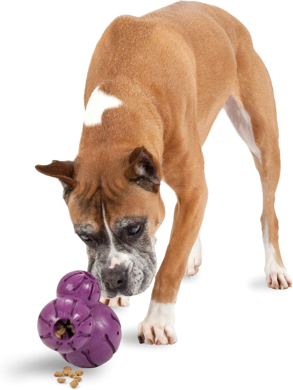 Petsafe Busy Buddy Barnacle - Dog Chew Toy - Treat Dispensing Dog Toys image number 6