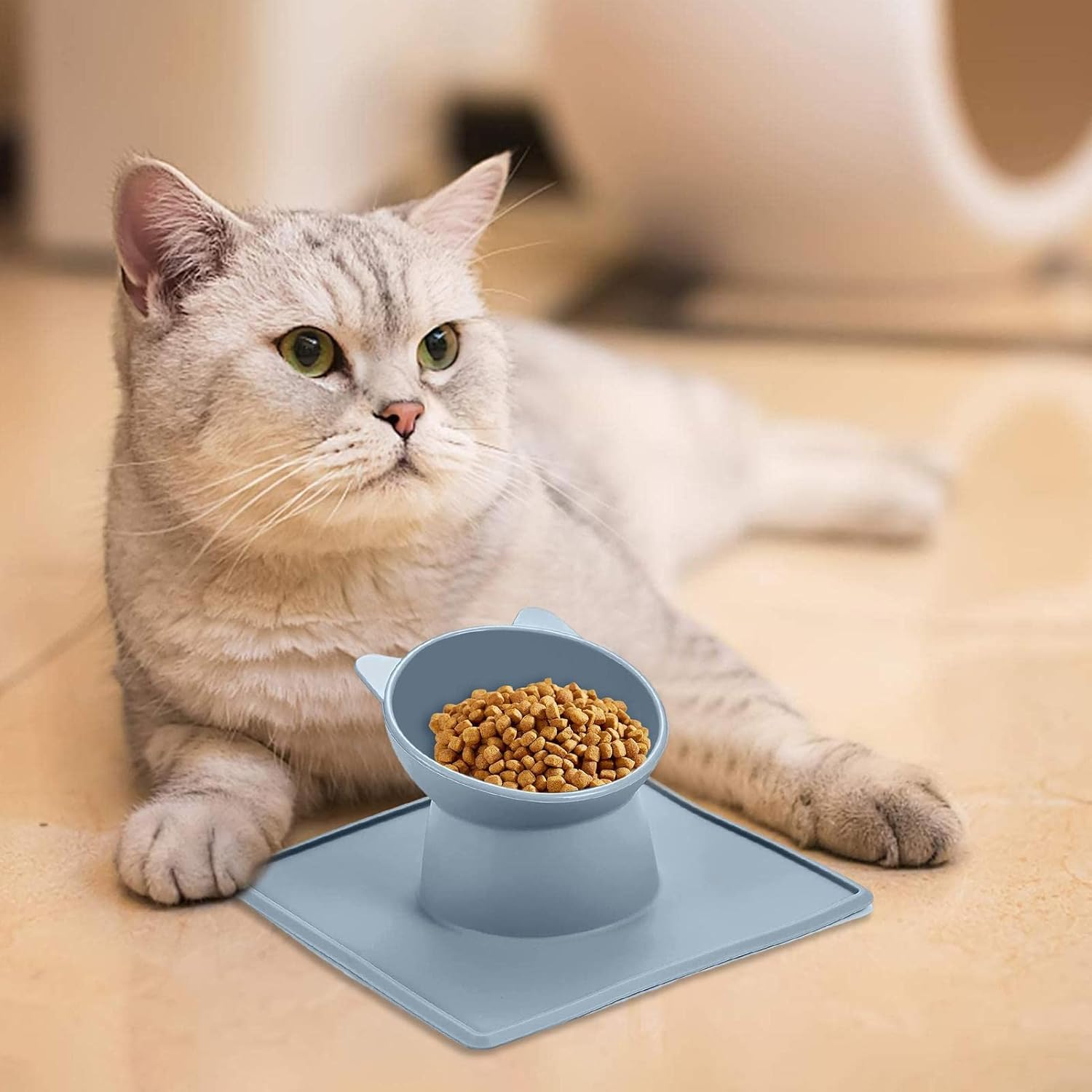 Raised Cat Food Bowls - Elevated Silicone Cat Dish for anti Vomiting | Orthopedic Cat Bowls for Indoor Cats, Non Slip Cat Dish for Puppy Pet Borato