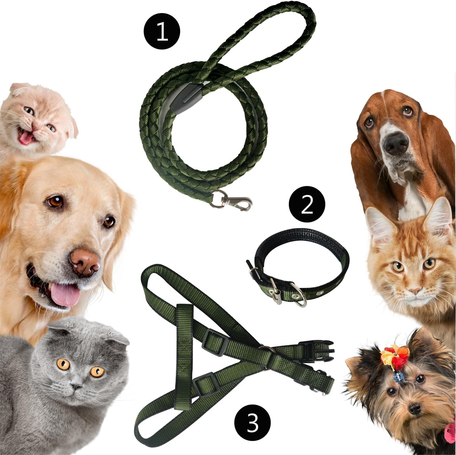 RINGSUN Dog Harness Collar Leash Set, No-Pull Adjustable Dog Lead Set with Easy Control Soft Handle for Small Medium and Large Dogs, S image number 2