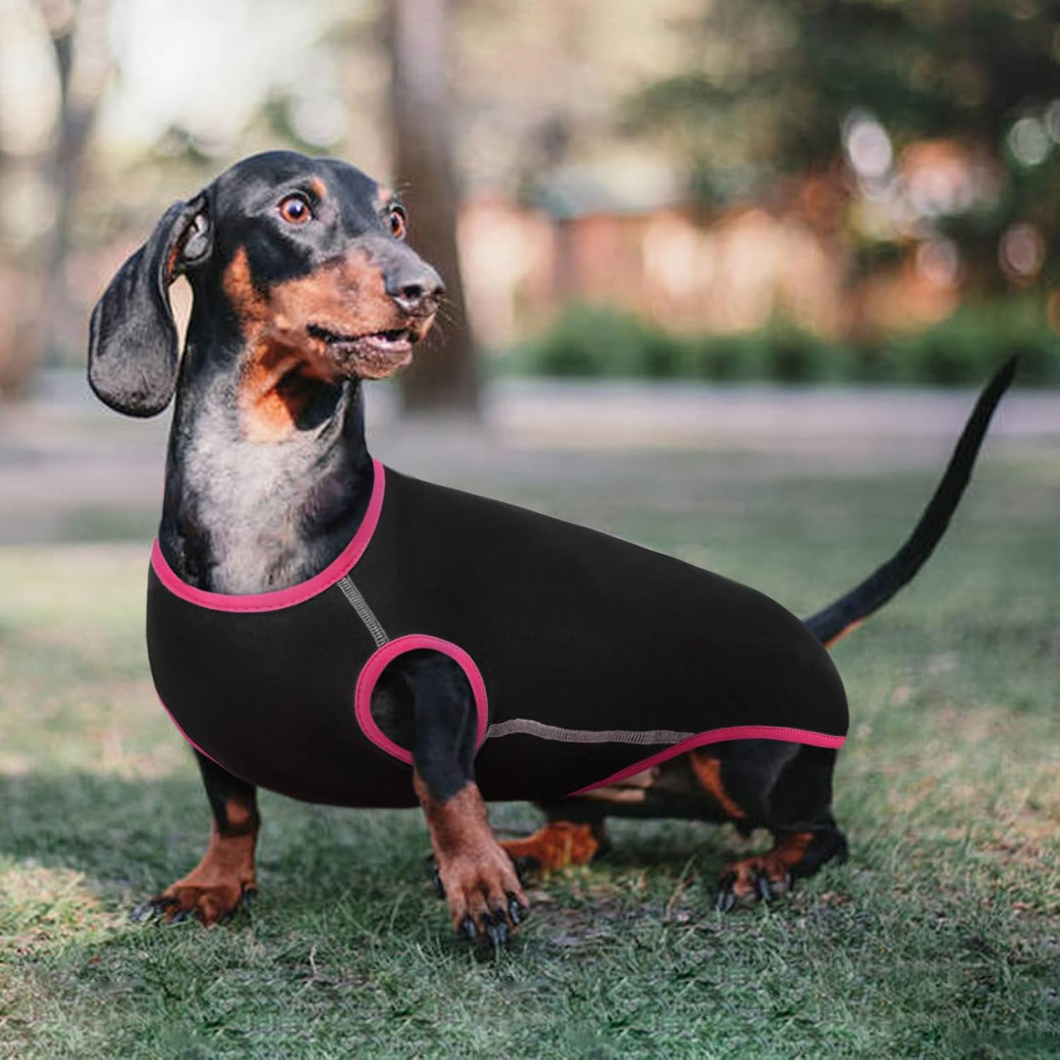 Hjyokuso Dachshund Jumper, Soft Elastic Dachshund Fleece Pullover for Mini Sausage Dogs, Lightweight and Breathable for Home Use or Outdoor Walks, All-Season Wear, Black XS image number 2
