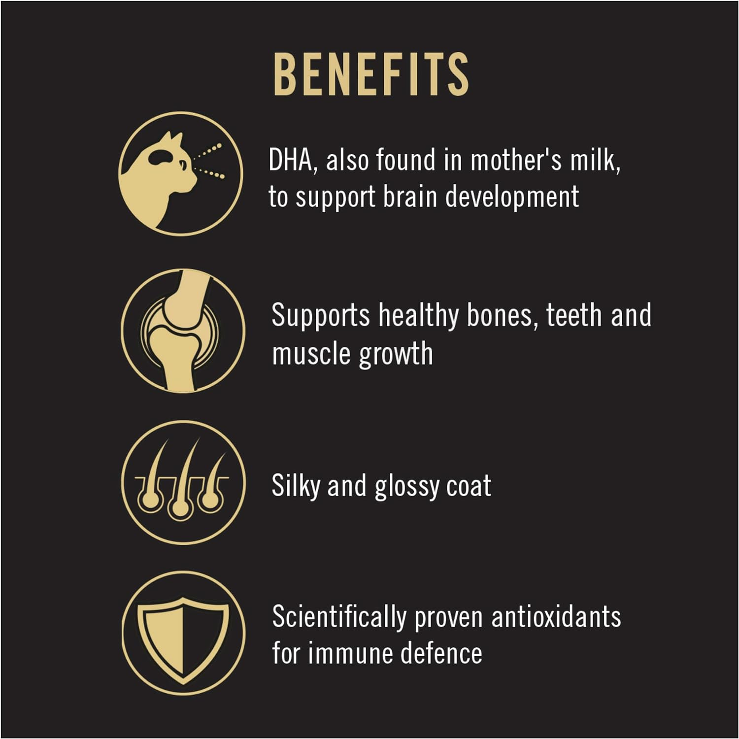 PRO PLAN Kitten Dry Cat Food Chicken 8Kg image number 5