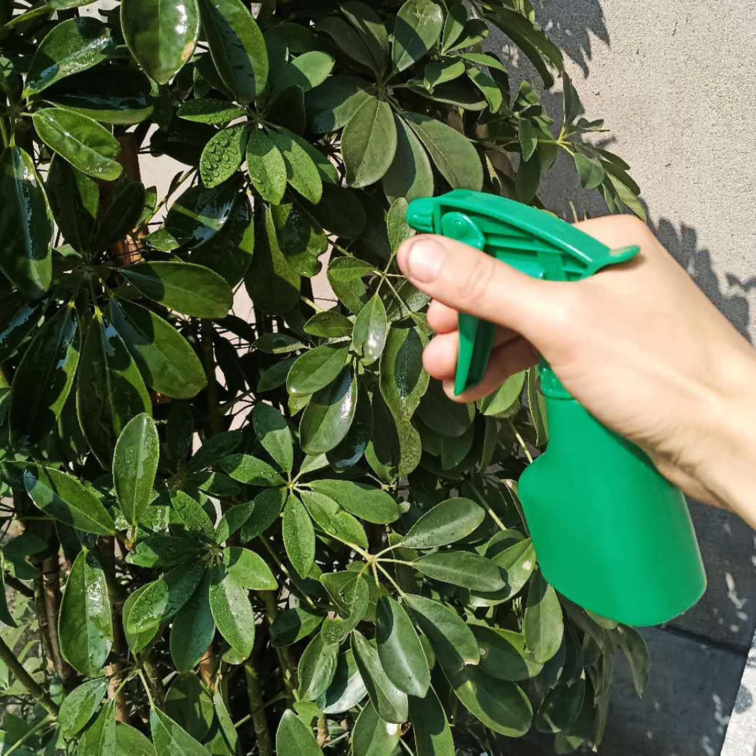 Garden Tool Set, 9-Piece Rust-Resistant Garden Tools Set with Storage Bag, Garden Set, Hand Tool Gift Kit, High Performance Garden Tools, Ideal Garden Gifts for Women/Men image number 2