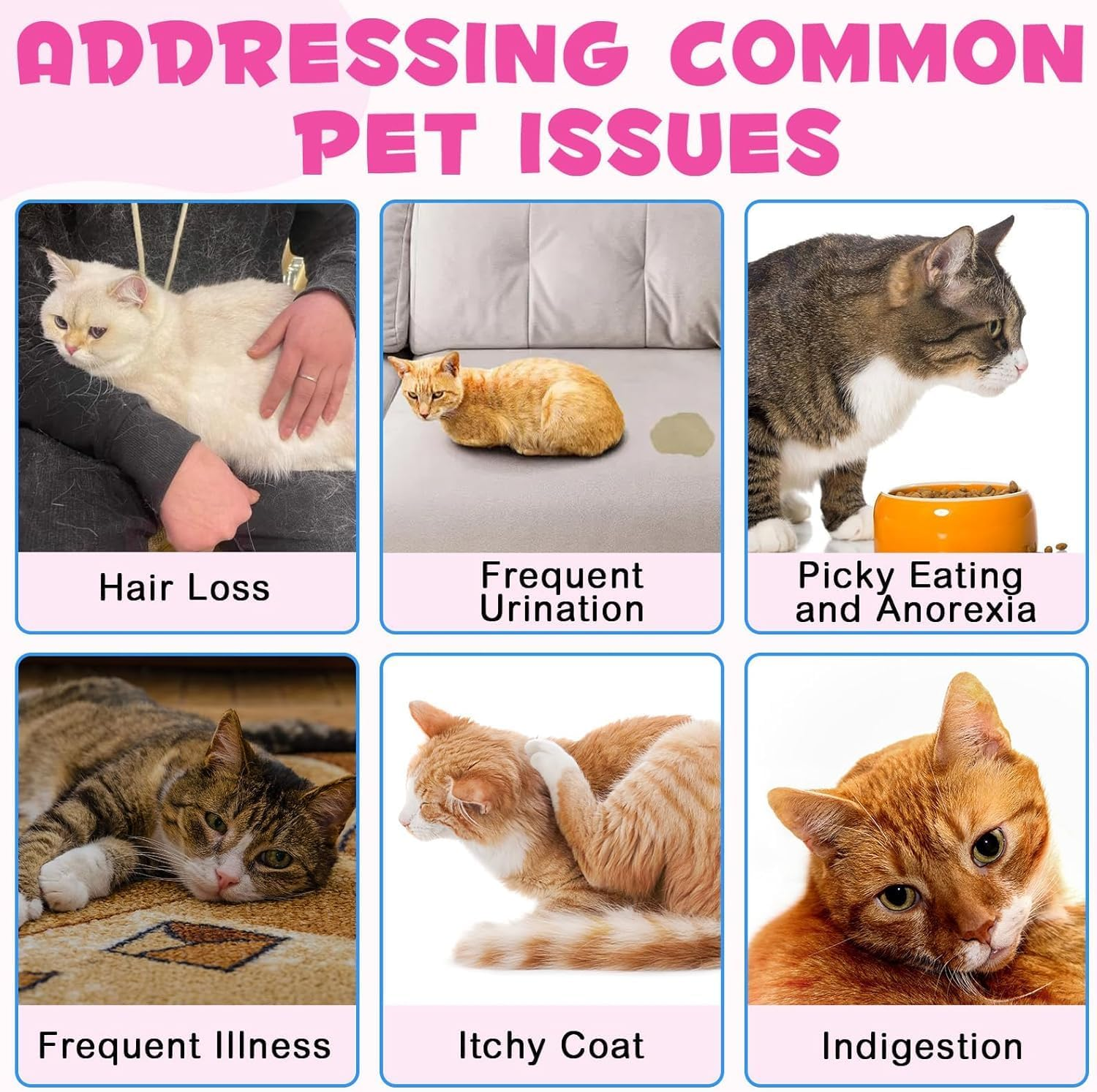 Collagen for Cats 60Ml | Liquid Cat Collagen Supplement with Biotin, MSM & Ginger | Supports Skin, Coat, Joint & Digestive Health | Salmon Flavour image number 5