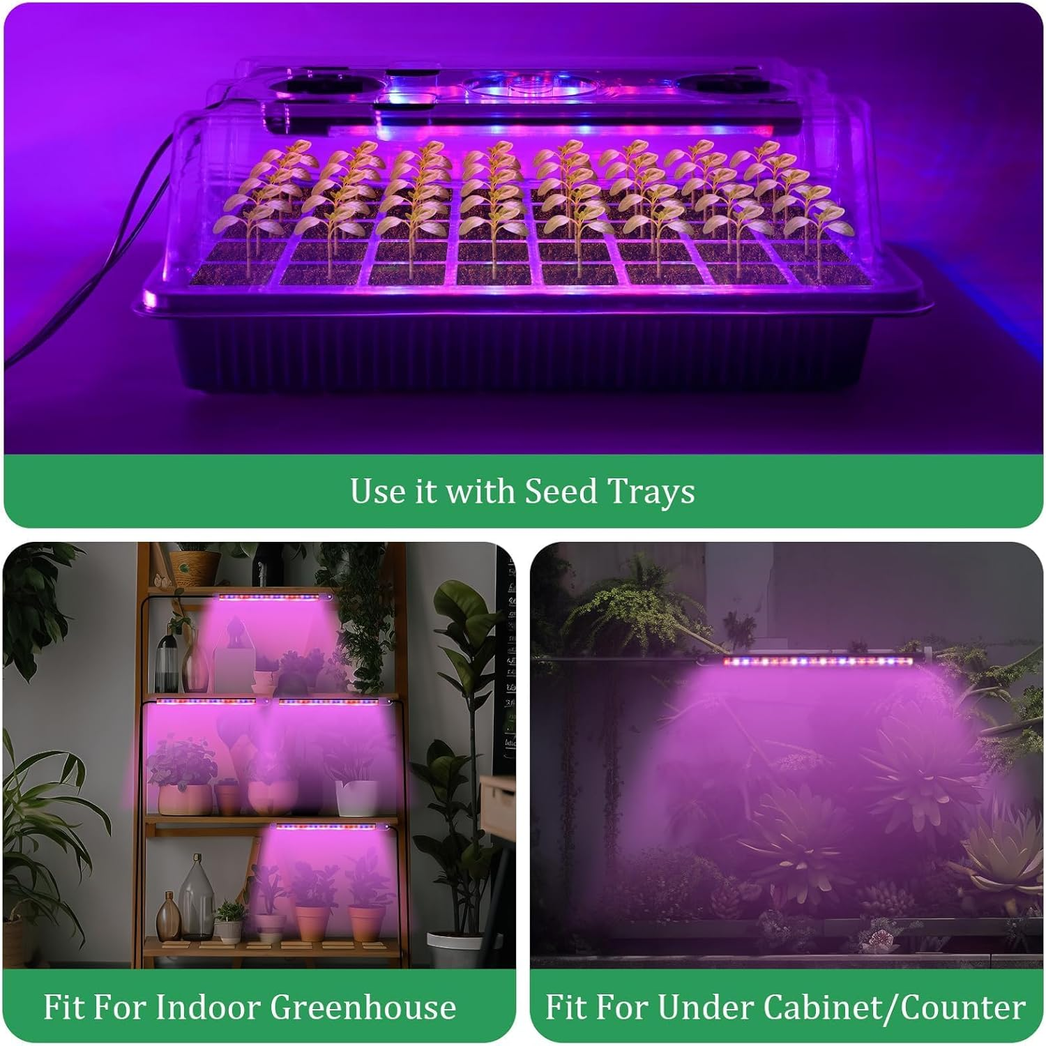 SIMTWO Seed Starter Tray 2 Pack, 80 Cells Seed Starter Kit with 4 Grow Lights, Seed Germination Kit, Smart Seeding Starter Tray with Timer & Humidity Dome, Adjustable Brightness 3 Modes, 4 Timing image number 4