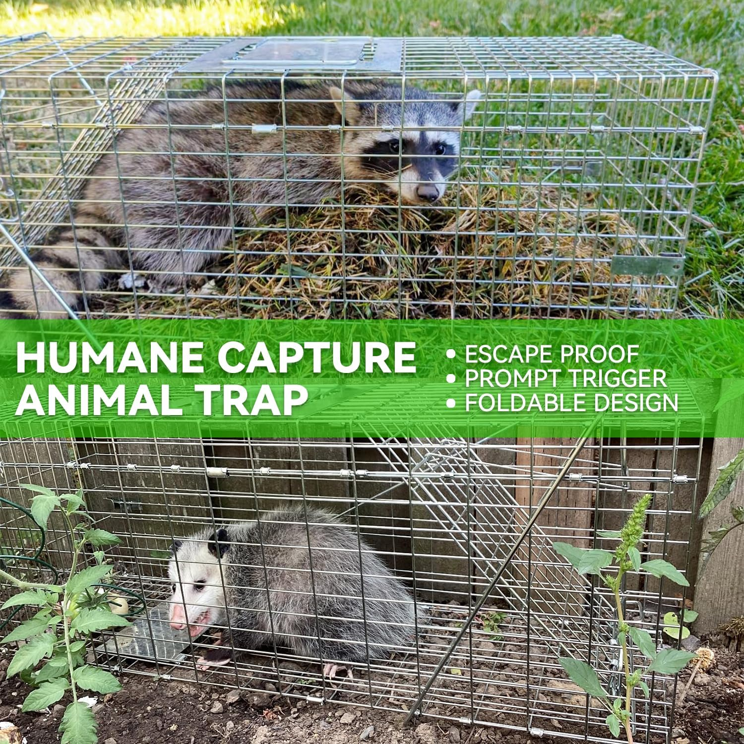 Live Animal Cage Trap, 78X30X29Cm Heavy Duty Folding Raccoon Traps, Humane Cat Trap for Stray Cats, Raccoons, Squirrel, Skunk, Mole, Groundhog, Armadillo, Rabbit, Catch and Release image number 3