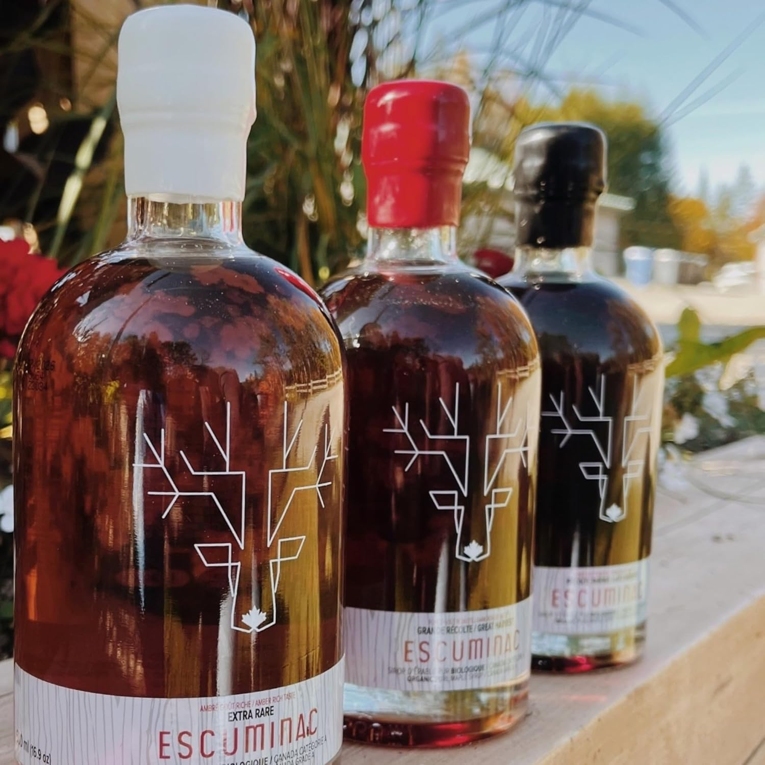 Pure Canadian Maple Syrup by Escuminac Maple Farm. Discovery Bundle 3 X 500 Ml. All Canada Grade A. Amber Light Taste, Medium Taste and Dark Robust Taste. 100% Organic, Single Origin, Bottled by the Maker. image number 3