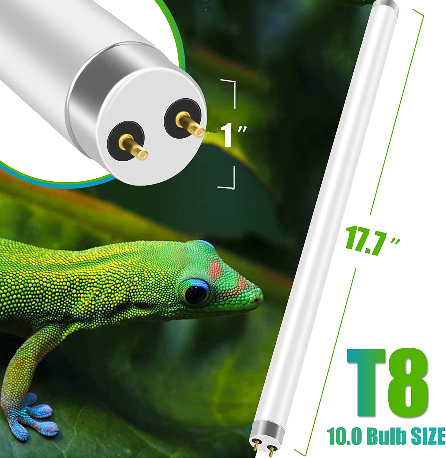 T8 Desert Terrarium Fluorescent Lamp Tube 18" Full Spectrum UVB Bulb, Dual-Threat UVA/UVB 10.0 Reptile Light for Reptiles and Amphibian, 15 Watt image number 5