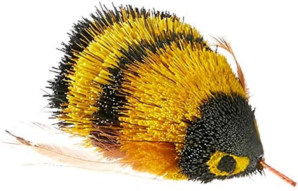 Go Cat Da Bee Attachment image number 1