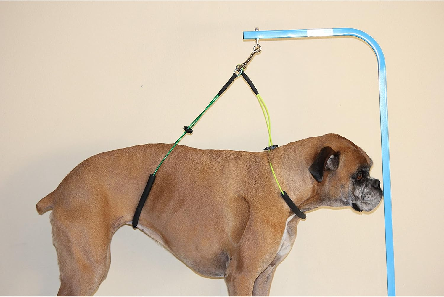 No Sit Haunch Holder Dog Grooming Restraint Restraint for Small-Medium Dogs (Small-Medium: 17" and 21") by Downtown Pet Supply image number 4