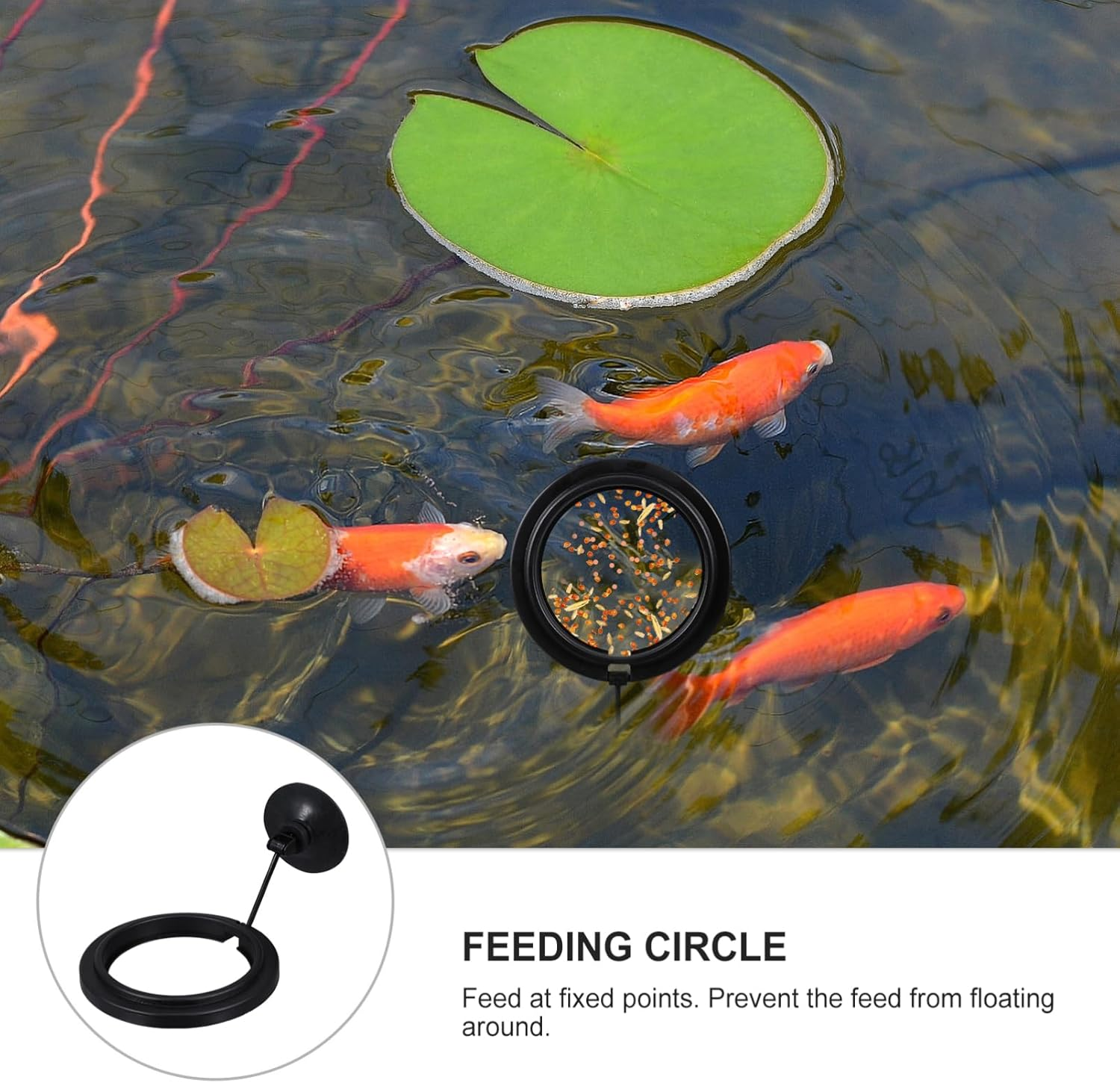 Sosoport Aquarium Plastic Feeding Ring Suction Cup Floating Fish Feeder Circle High-End Material Prevents Feed from Floating Easy Cleaning image number 2