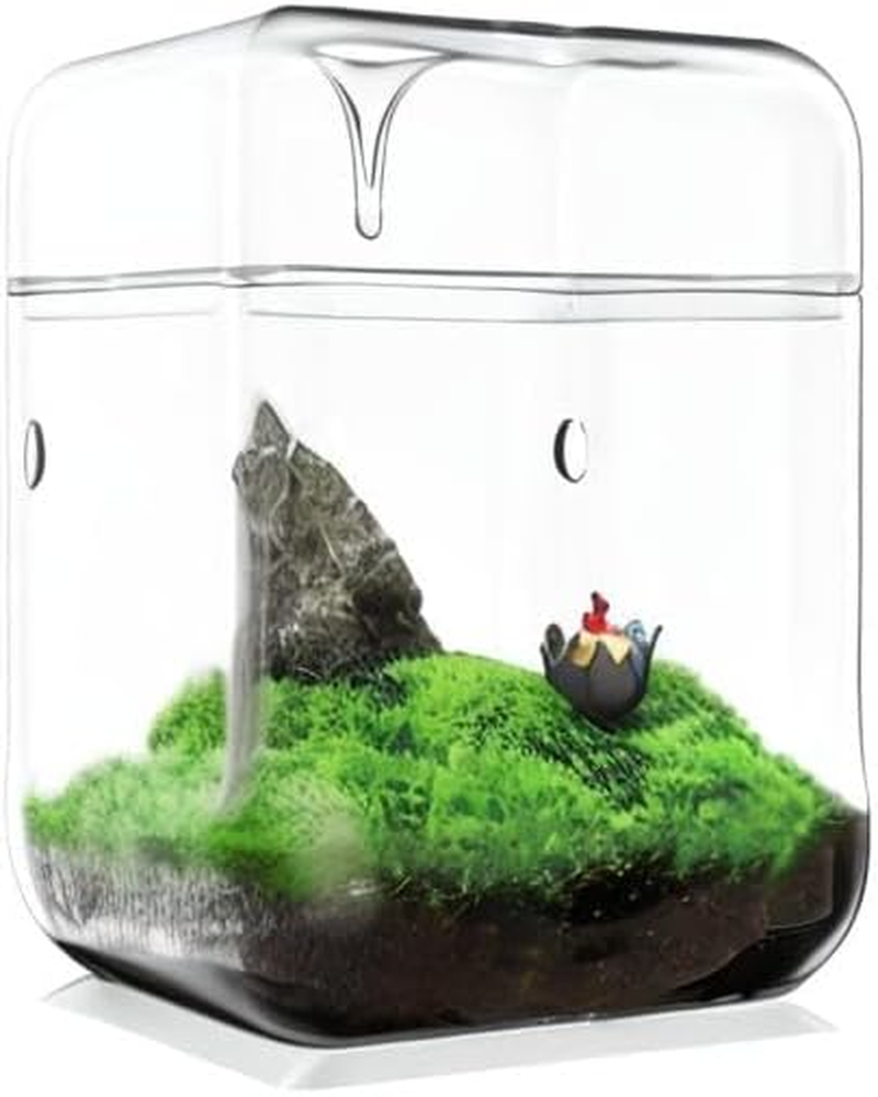 SARUFO Small Glass Plant Terrarium 4.7"X7" Inches Succulent Air Planter Fern Moss Micro-Landscape Vase for Home Garden Office Tabletop Decoration Container with Lid Indoor Wardian Copyright Patent image number 3