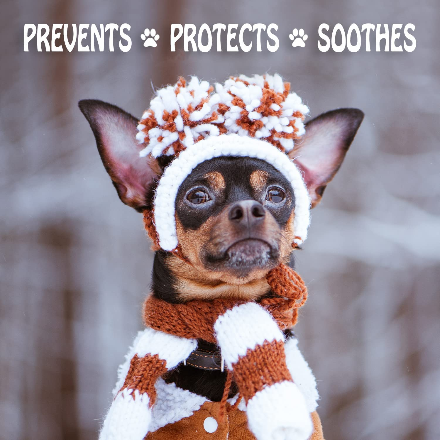 Musher'S Secret Dog Paw Wax 200 G (7Oz) - Moisturizing Dog Paw Balm That Creates an Invisible Barrier That Protects and Heals Dry Cracked Paws - All-Natural with Vitamin E and Food-Grade Ingredients image number 6