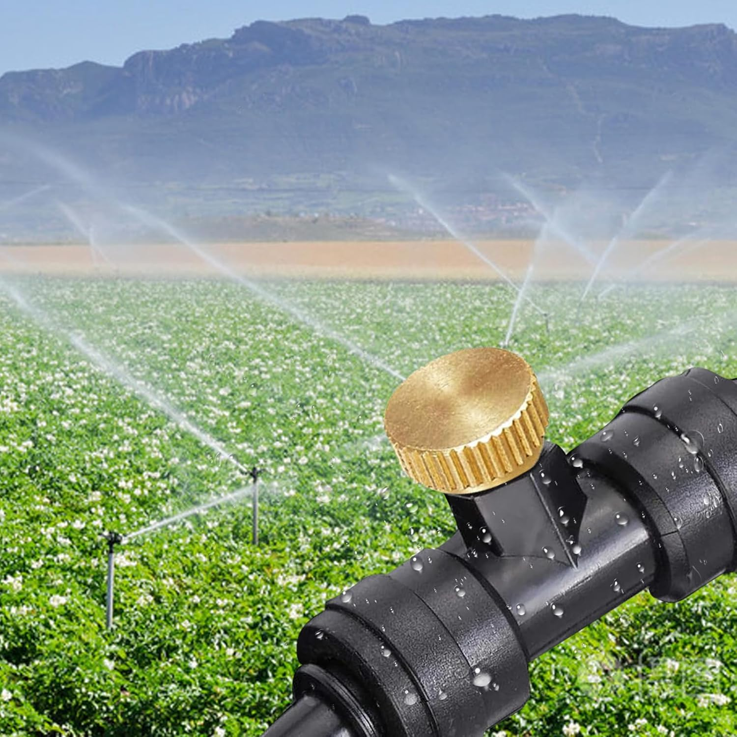 Brass Misting Nozzle Plug 12Pcs Brass Misting Nozzle Plug 3/16 Screw Thread Mister Nozzles Plug for Outdoor Cooling System.Atomizing Nozzle Plug for Outdoor Garden Atomizing Irrigation Accessories image number 3