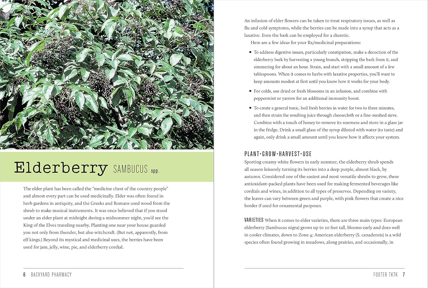 Backyard Pharmacy (Mini): Plants as Medicine image number 4