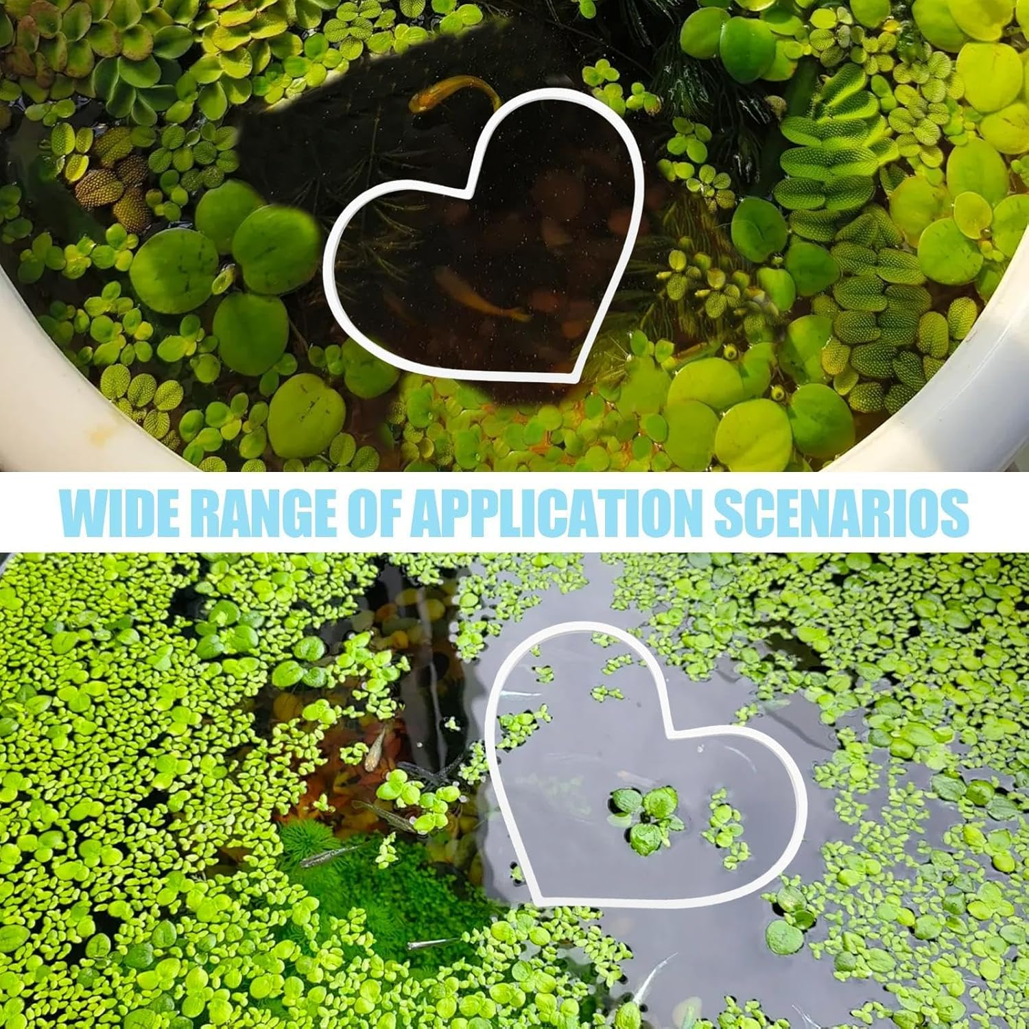 Feeding Ring for Fish Tank,Heart Shape Aquarium Floating Ring - Aquarium Floating Plant Corral, Ideal for Keeping Plants in Place for Fish Tank image number 4