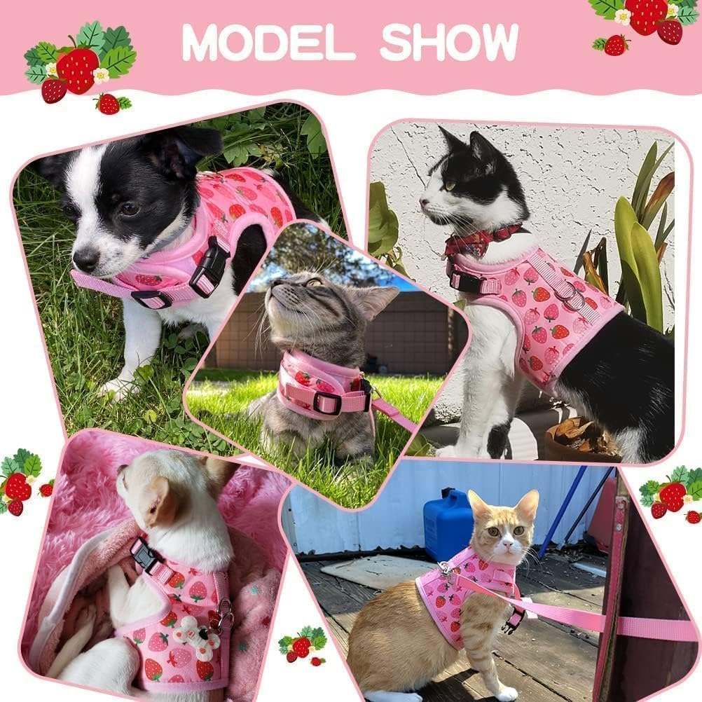 Cat Harness with Escape Proof - Fashionable Mesh Cat Dog Walking Harness Leads, Adjustable for Kitties Puppies Small Animals (Pink, XS) image number 3