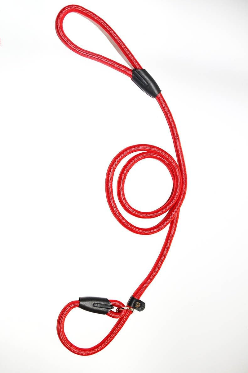 Strong Slip Rope Dog Training Leash Durable Braided Nylon with Rubber Padded Handle - No Pull Walking for Medium Large Dogs (Red, 6Mm*140Cm)