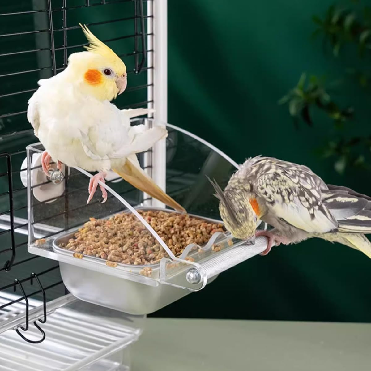 AIMALL Parrot Acrylic Stainless Steel Food Basin Box, Anti-Scattering Feeder with High Colour Value for Peony Xuan Feng Birds, Available in 3 Sizes image number 5