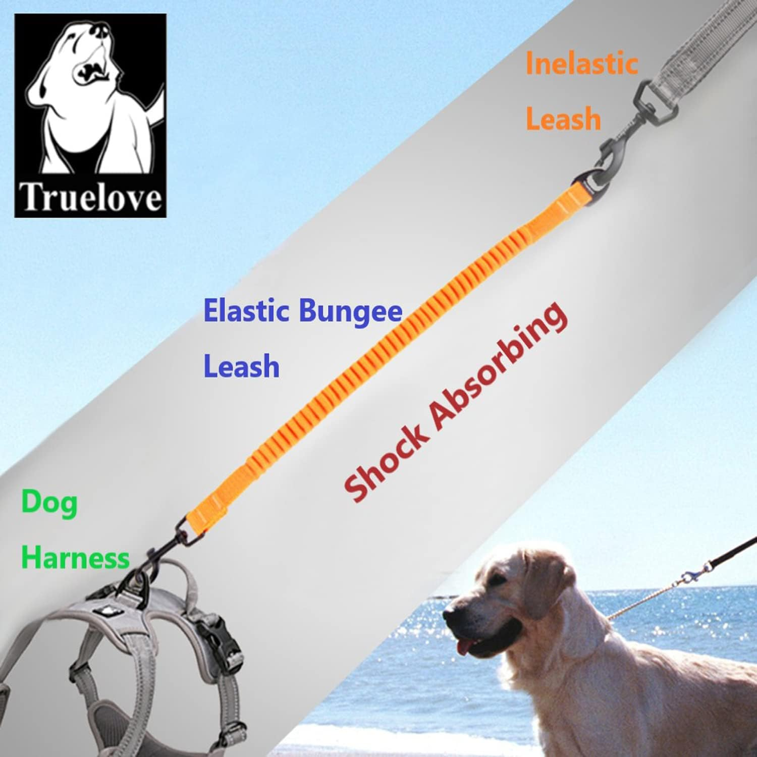 True Love Bungee Extension for Leash, Medium, Black image number 1