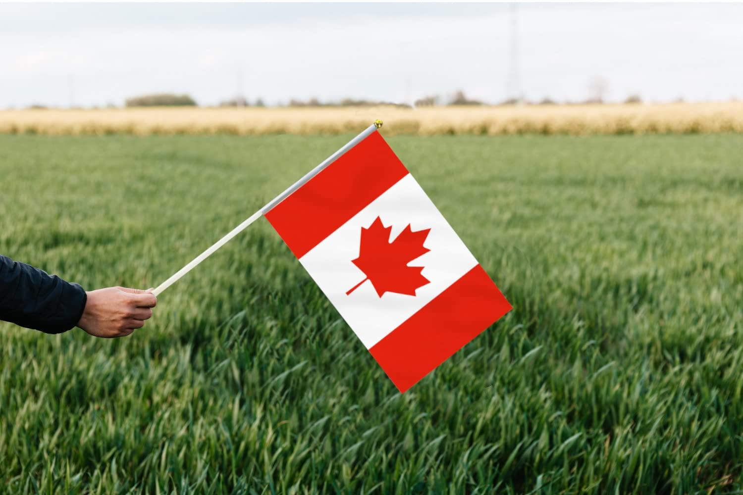 10 PCS Handheld Canada Flag,8.5&times;5.5 Inch Hand Held Mini Canadian Flags Banner for Indoor Outdoor Parade Waving the Tlag and Shouting image number 3