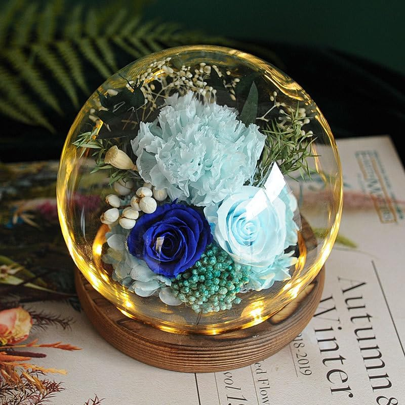 Rose in Glass Dome, Long-Lasting Real Flowers, with LED Light, Unique for Mother'S Day & Christmas & Valentine'S Day, Preserved Flowers Rose Gifts for Wife Girlfriend Mom (Red)