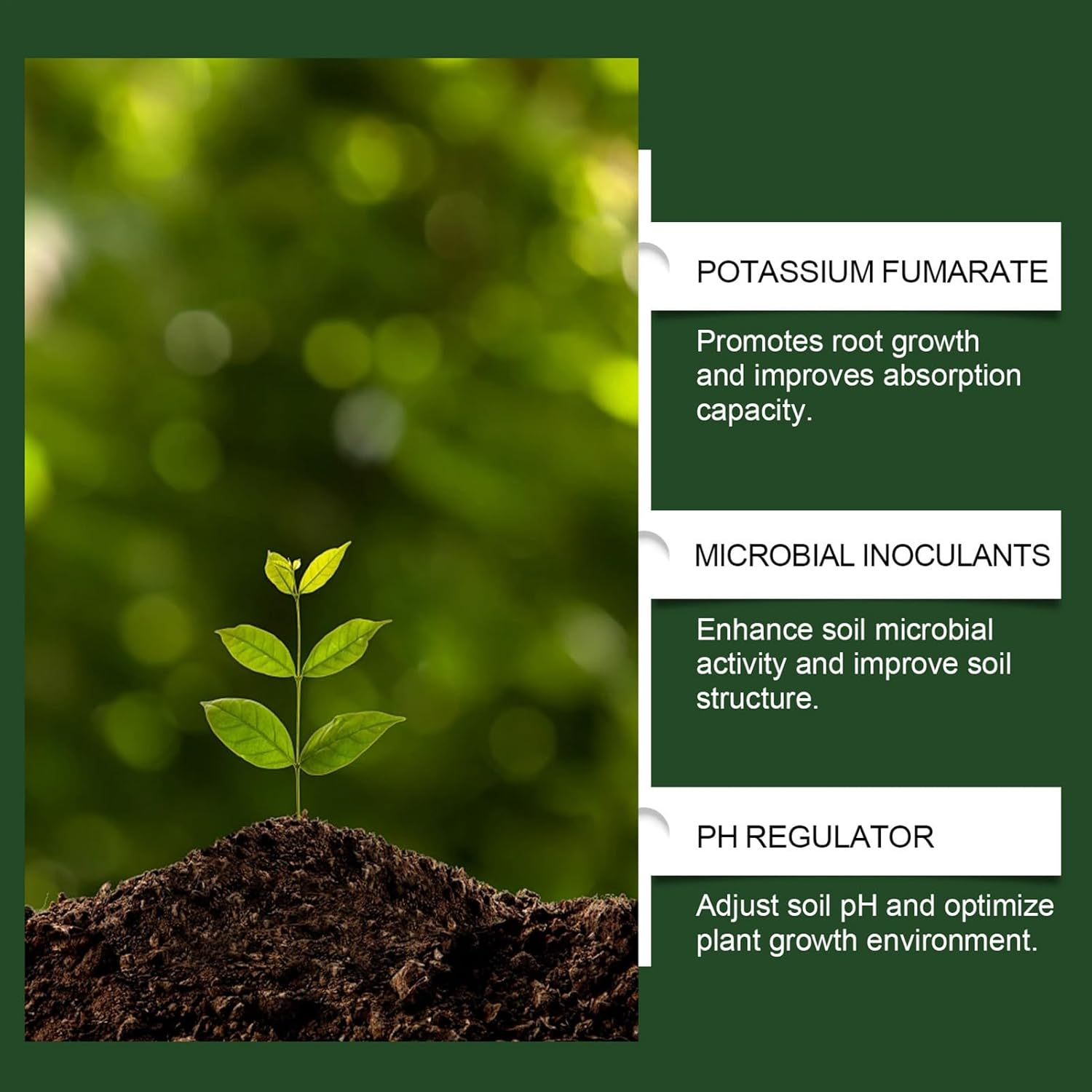 Plant Growth Enhancer - Fertilizer Nutrient Powder, 100G Balanced Formula, Planting Tool Accessory, Soil Culture, Mixed Culture Garden, Agriculture Gardening Supplies for Growth Indoor Outdoor Plant image number 3