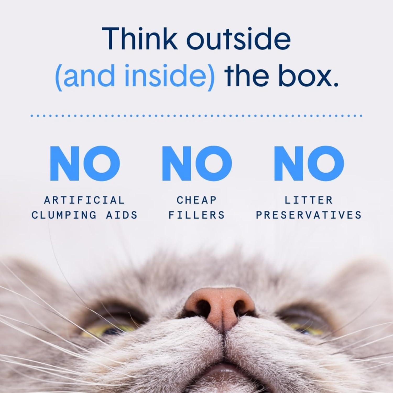 Boxiecat Deep Clean, Scent Free, Probiotic Clumping Litter, 16 Lb image number 1