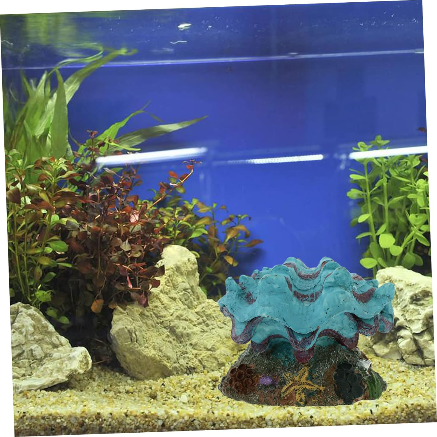 Aquarium Ornament Air Stone Shell Accessory for Fish Tank Decor Oxygen Bubbler Decoration Non-Fading Underwater Landscape for Aquatic Environments image number 2