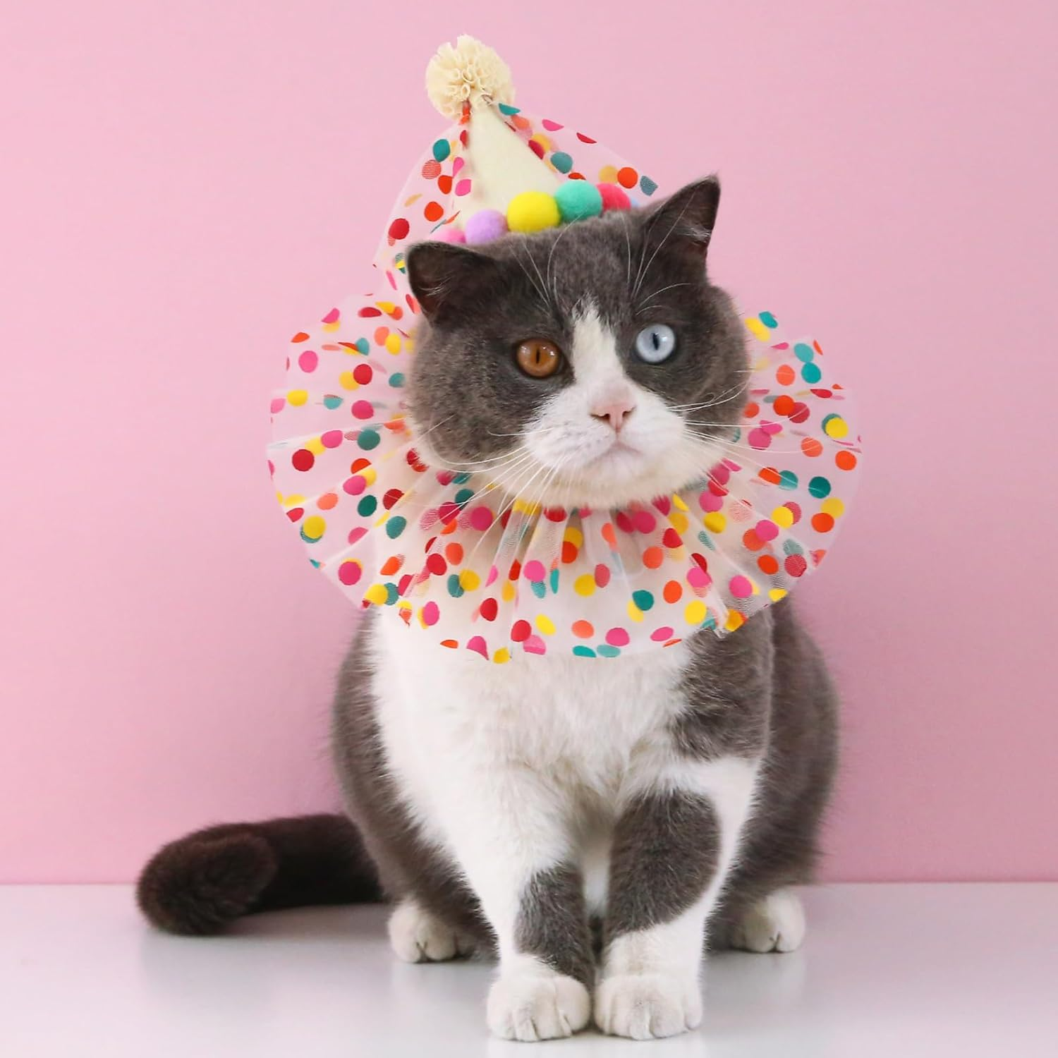 Cat Dog Birthday Hat Scarf Set Puppy Princess Costumes Party Hat Lace Lace Cute Cat Outfit Dots Bandana Doggy Cat Birthday Decorations Pet Party Supplies (Colour-1) image number 2