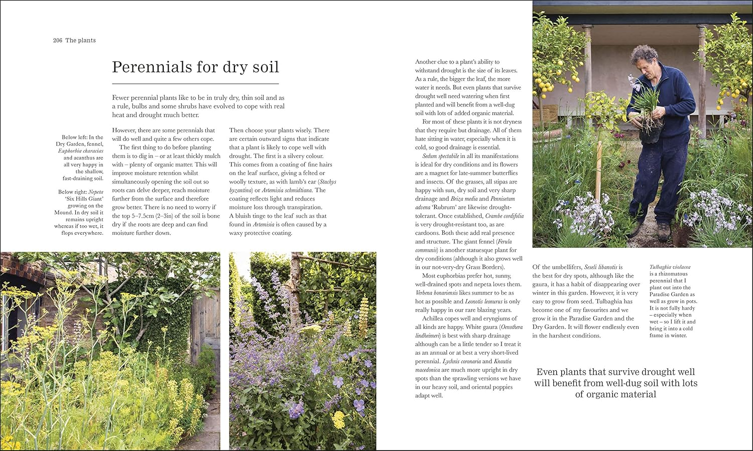 The Complete Gardener: a Practical, Imaginative Guide to Every Aspect of Gardening image number 3