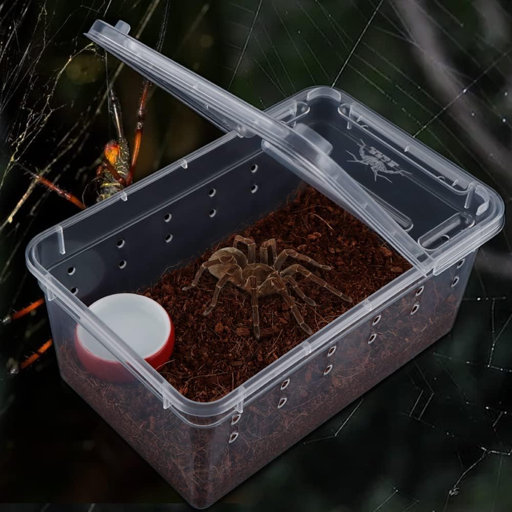 20 Pcs Tarantula Enclosure Insect Spider Terrariums Breeding Box,Insect Spider Terrariums Breeding Box,Small Reptile Arboreal Spider Mantis Scorpion Centipede Breeding Box Breeding Cage with Lid image number 2