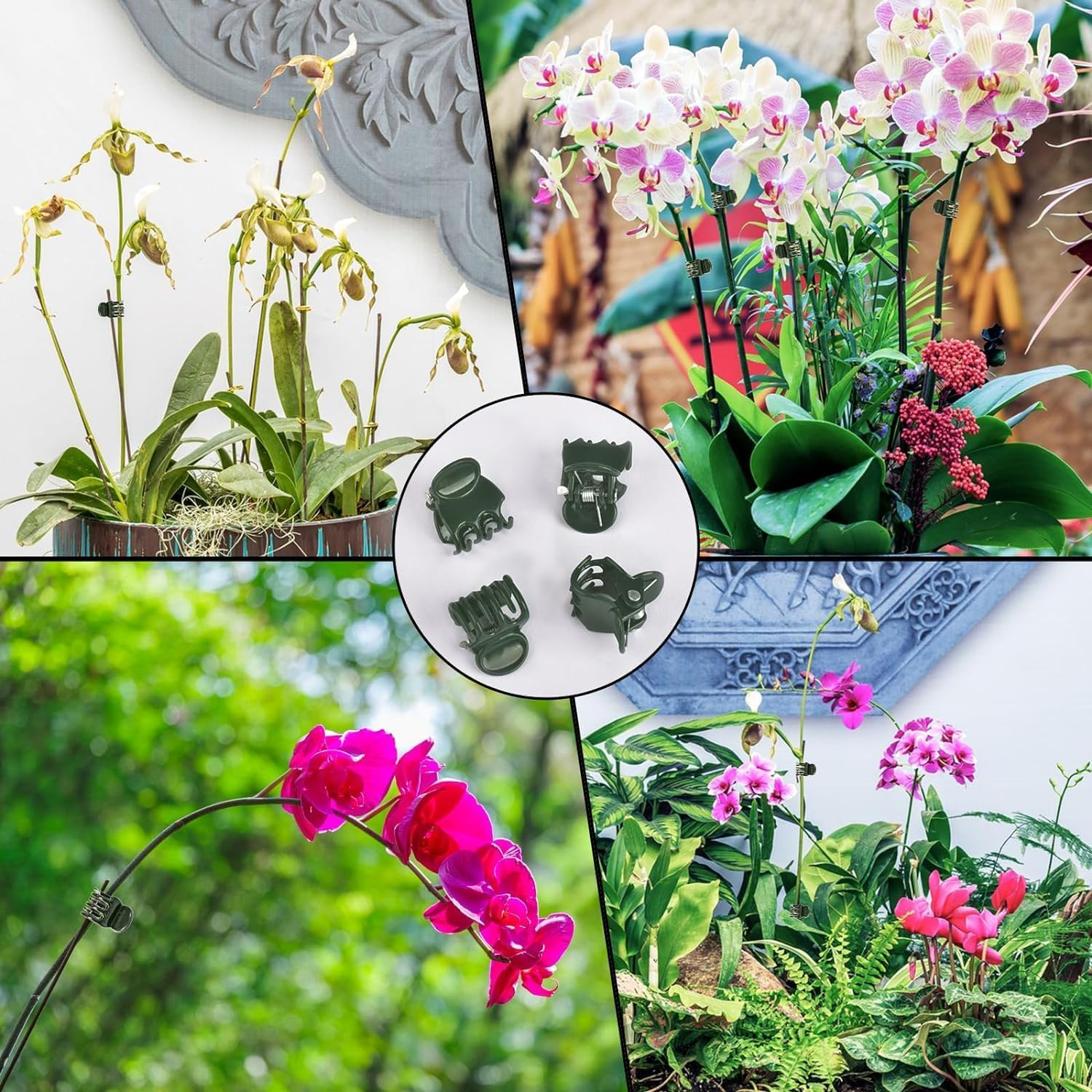 100 Pcs Orchid Clips, Plant Support Clips, Mini Plastic Greenhouse Garden Flower Clips, Vegetables Climbing