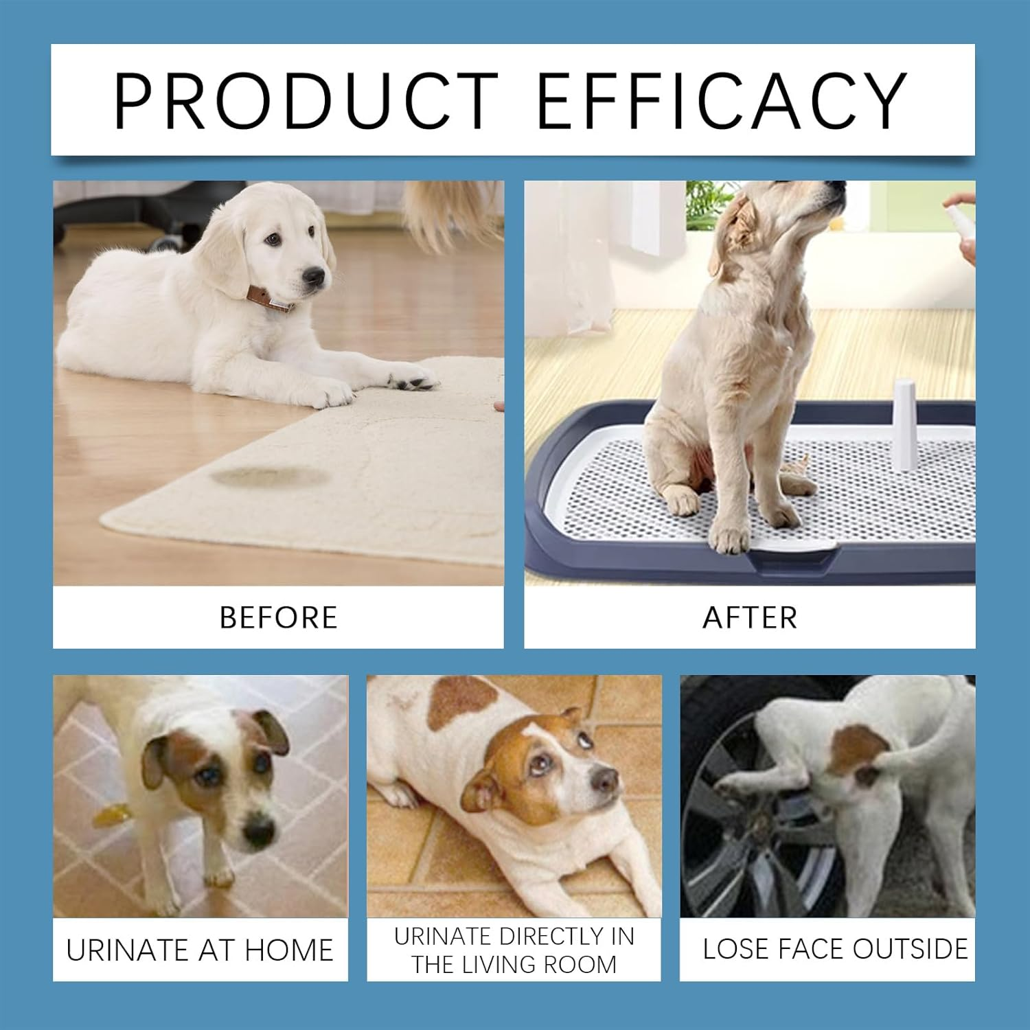 Pet Positioning Spray, Dog Toilet Training Aid, Defecation Inducer for Designated Areas image number 4