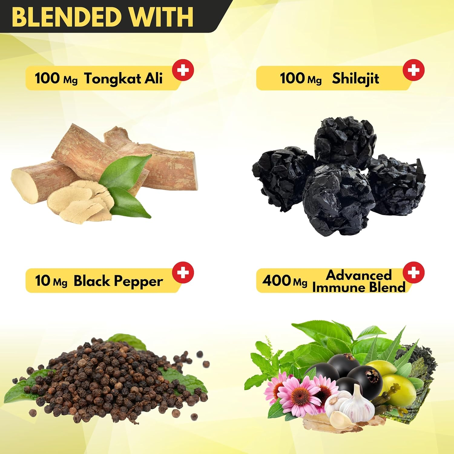 SATOOMI 15In1 Fadogia Agrestis Supplement - Tongkat Ali Root, Shilajit, Black Peper, Elderberry & More - 2 Packs 60 Caps for 2 Months