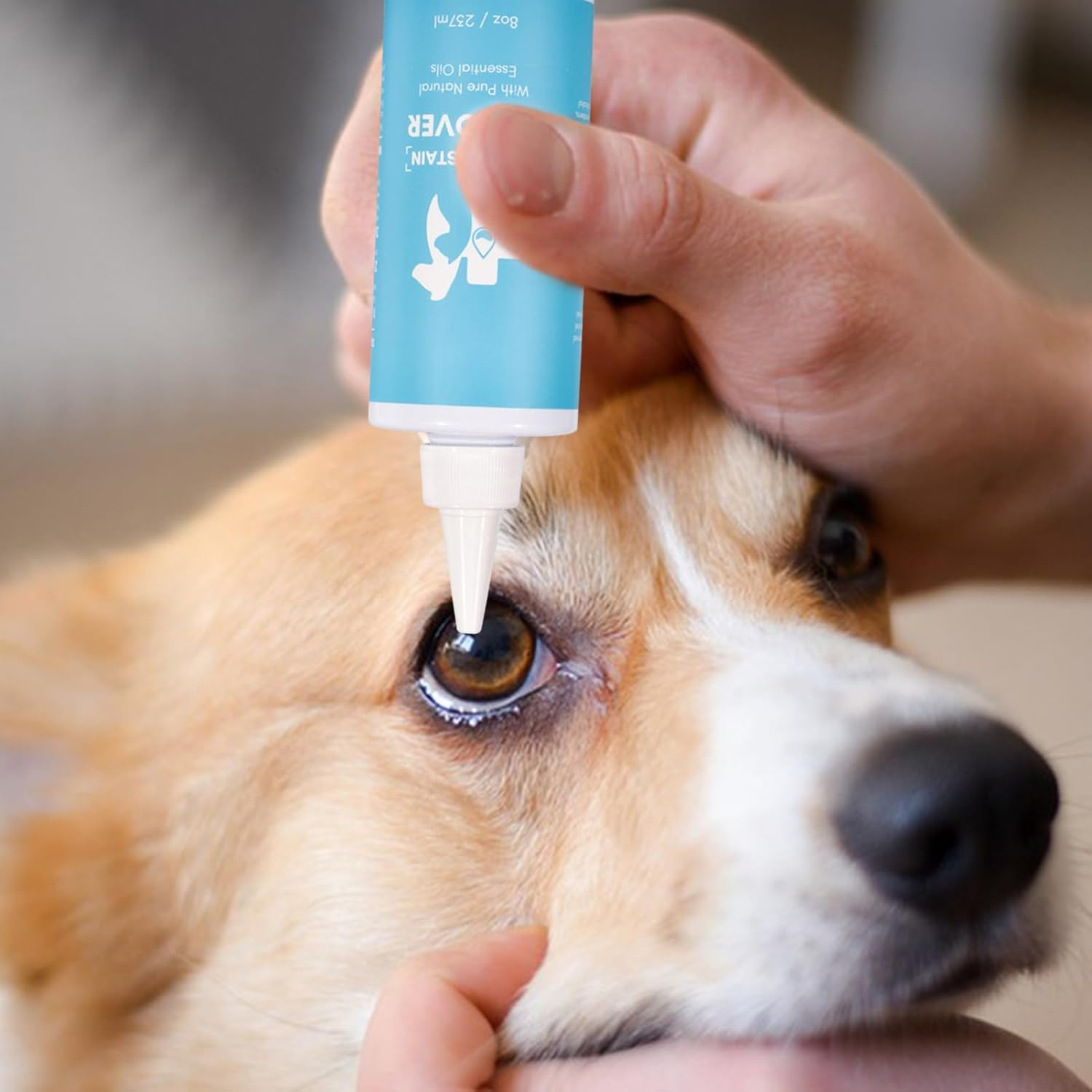 Tear Stain Remover for Dogs - Kitten Eye Face Cleaner - 8Oz Mild Soothing Eye Rinse Cleaner & Daily Tear Stain Remover Wash for Small Animals Hamil image number 1