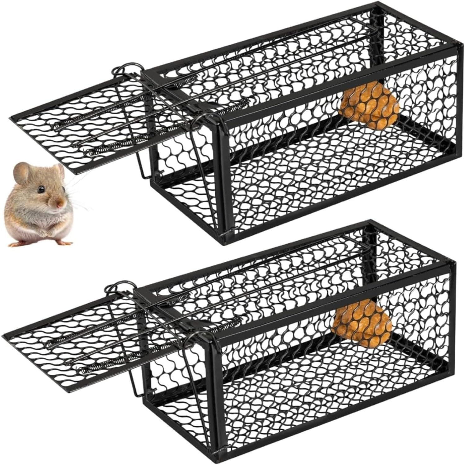 2 Pack Animal Live Cage Trap Humane Rat Trap Live Mouse Traps Reusable Metal Cage Trap to Catch Rodent,Mice,Squirrel,Weasel,Hamster,Chipmunk for Indoor or Outdoor Size 9.45"X4.5" X4.5" (Black)
