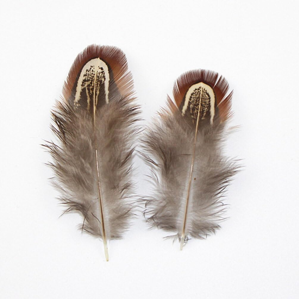Tofficu Feathers Natural Crafts : Feathers for Crafting - Pheasant Feathers for Dream Catcher DIY Craft Projects image number 5