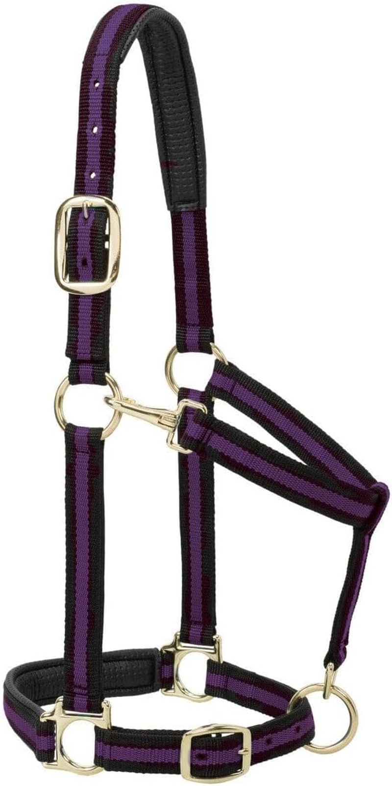 Weaver Original Non-Adjustable Nylon Horse Halter image number 3