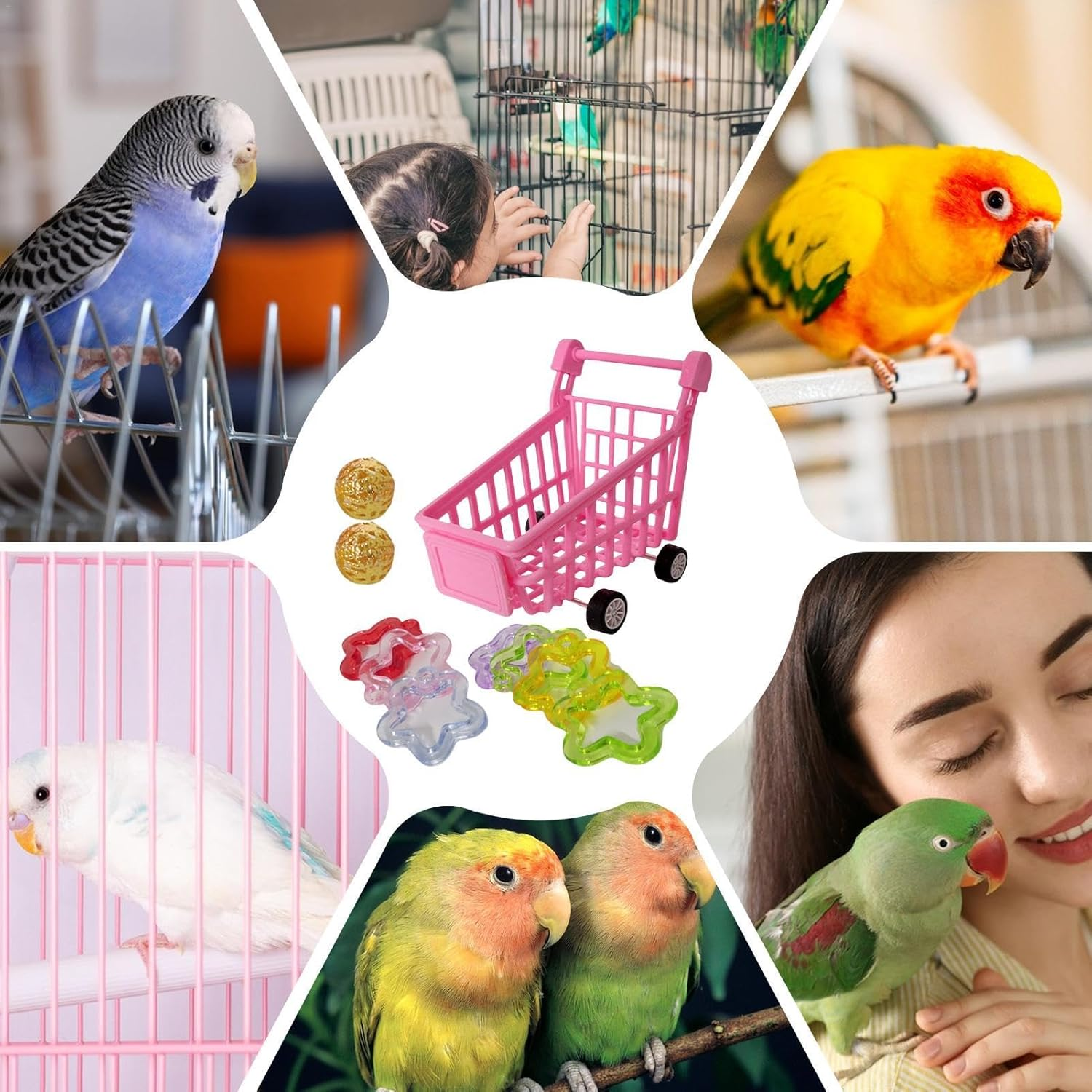 Shurzzesj Bird Shopping Cart Toy - Supermarket Handcart Toy for Parrots - Bird Parrot Puzzle Toy Shopping Cart Ball Toy Bird Educational Training Toy for Conure Parrot Budgie Parakeet image number 5