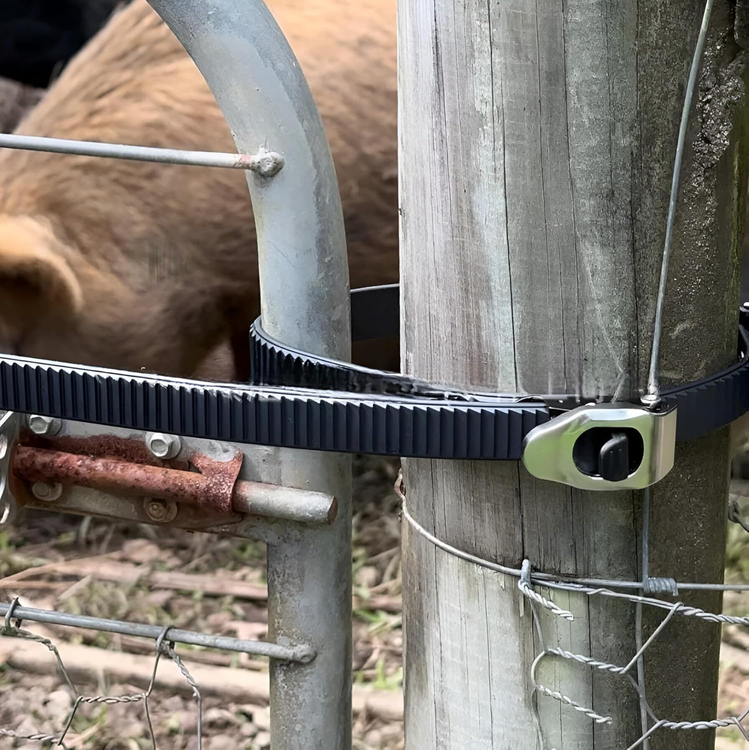 Heavy-Duty Stainless Steel Grip Lock Straps, Reusable Adjustable Locking Belt with Metal Buckle, Strong Ratchet Tie down Straps for Luggage, Cargo, Bikes, and Daily Use (8Psc) - 2Pcs image number 1