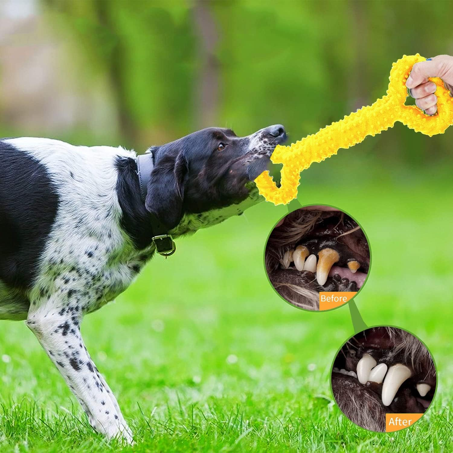 Dog Chew Bone Toy for Aggressive Chewers, Made of Hard Rubber, Durable Chew Toy, Durable and Virtually Indestructible, Cleaning Teeth and Massaging Gums (Yellow) image number 3