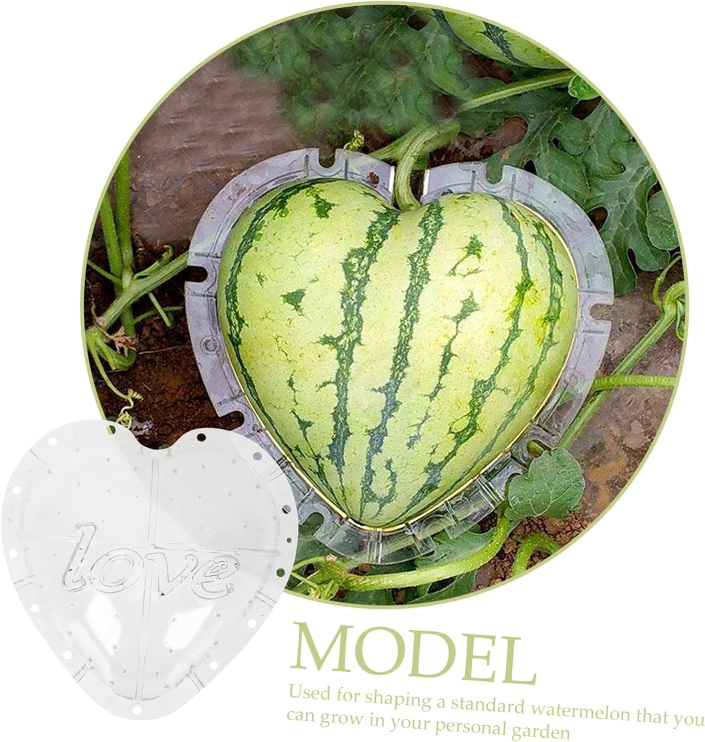 Angoily Heart Fruit Shaping Mould Vegetable Moulds Easy to Use Watermelon Growing Mold Creative Gardening Supplies