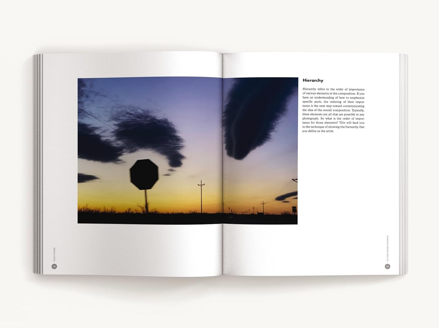 Visually Speaking: Mastering Photography as a Visual Language image number 2