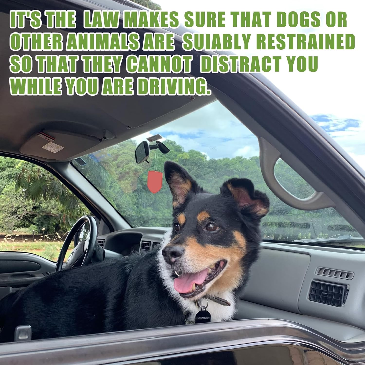 Car Harness for Dogs, Heavy Duty Steel Rope, Pet Dog Seat Belt, Made of Carbon Steel, Chew Resistant Tether Rope, Vehicle Harness with Double Clips and Locking Fastener, 2 Pack image number 1