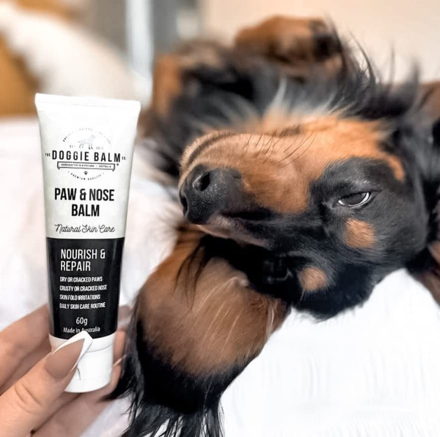 The Doggiebalm Co. Paw & Nose Balm, 60G - Dog Nose, Elbow & Paw Balm - All Natural Pet Skin Care to Nourishes, Hydrate & Repair - Dog Skin Treatment for Sensitive Skin image number 3