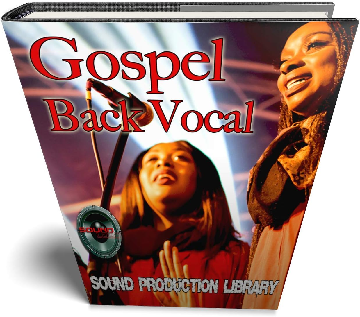 Hip-Hop Back Vocal - HUGE 24 Bit Waves Samples Production Library 10 000!!! Object on DVD image number 5