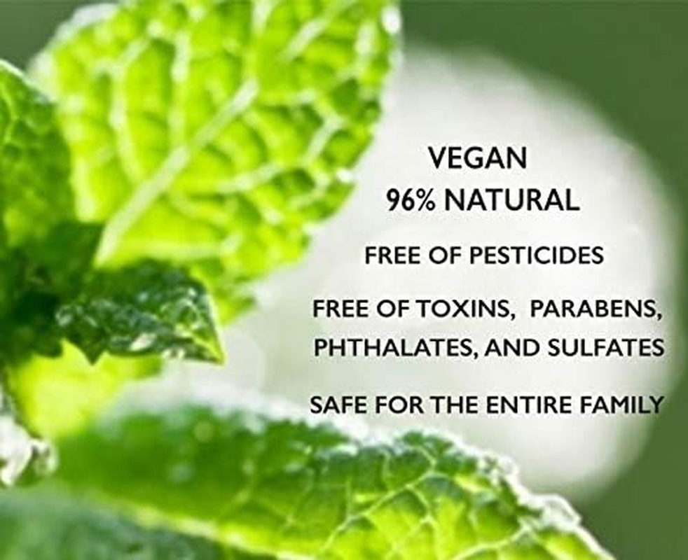 Ladibugs Lice Prevention Mint Spray 8Oz | Natural Ingredients | Highly Effective Lice Treatment Spray | Daily Use image number 4