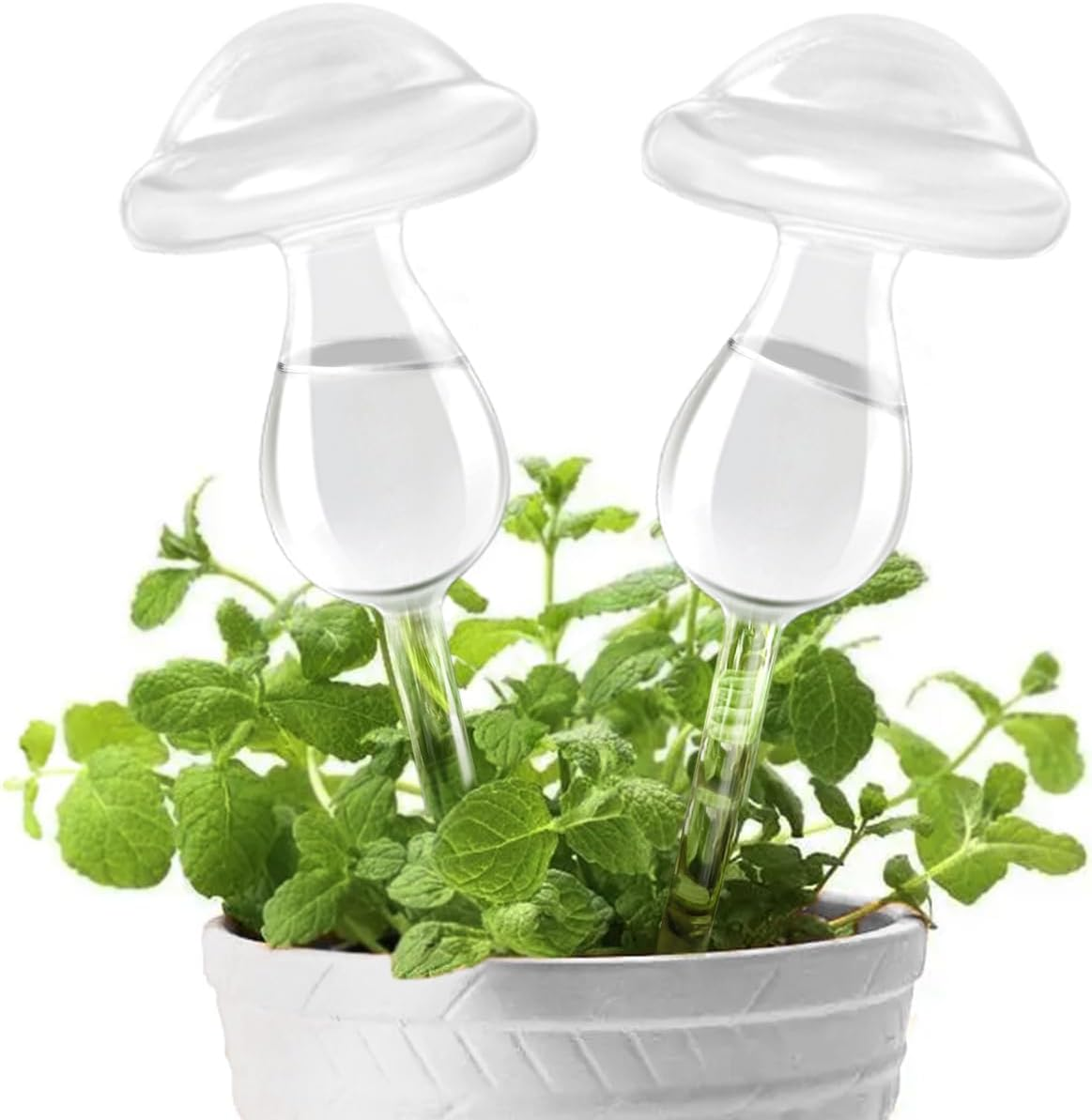 Kikihome Self Watering Globes for Plants, Clear Glass Shape Design Plant Waterer Bulbs, Automatic Irrigation Device for Indoor & Outdoor Plants, 2 Mushroom