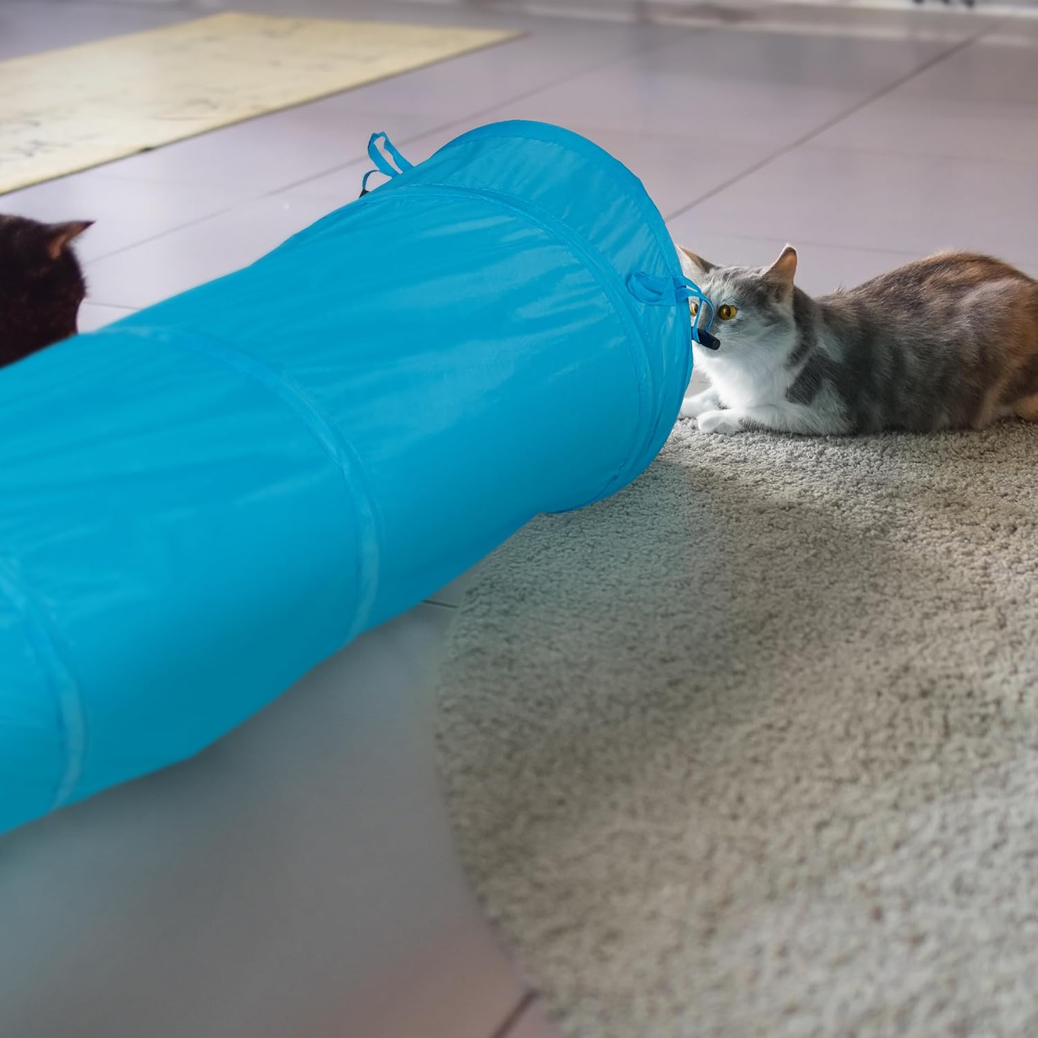 Relaxdays Cat Tunnel Foldable Cat Tube with Toy, Interactive Cat Play Tunnel, W X D: Approx. 88 X 25 Cm, Blue - Grey image number 2